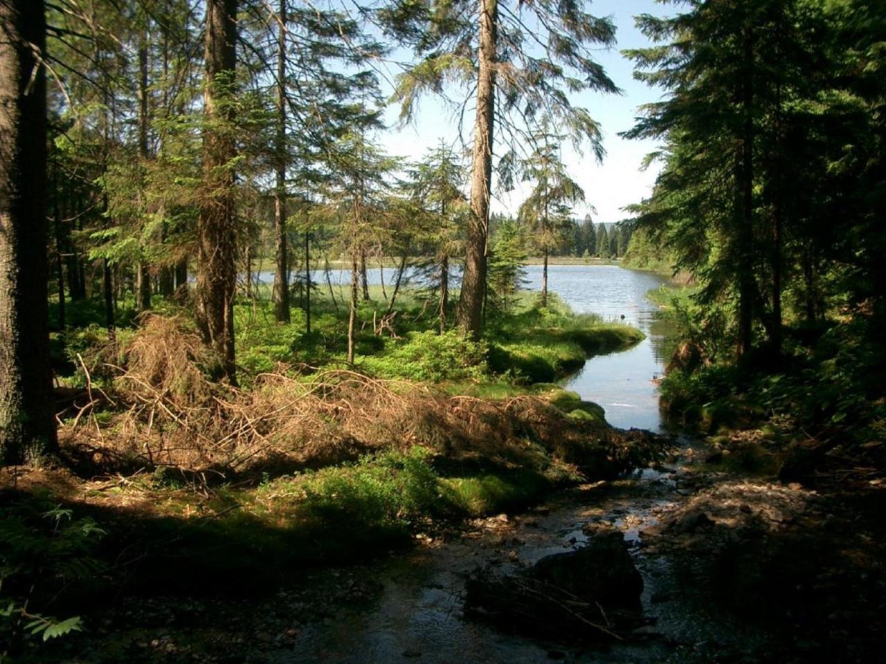 Ferienhof Ellerbeck Langdorf (Regen) Exterior foto
